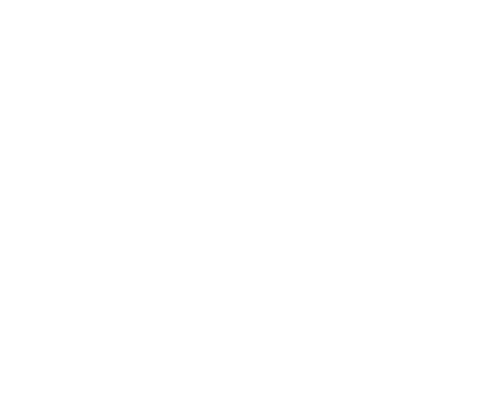 1HP