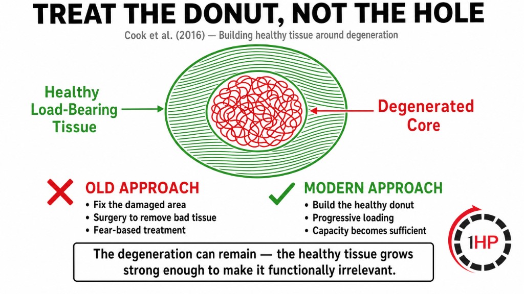 Treat the donut, not the hole illustration showing healthy load-bearing tissue surrounding a degenerated tendon core